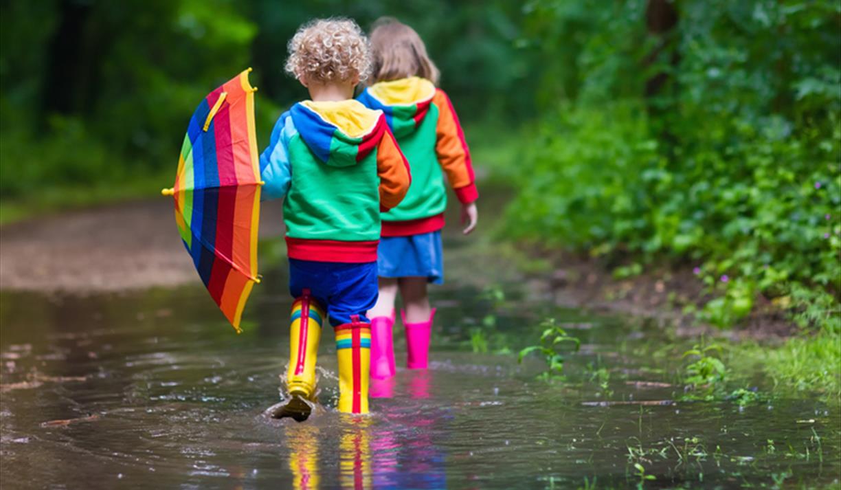 Kids Trail: Mission Spring