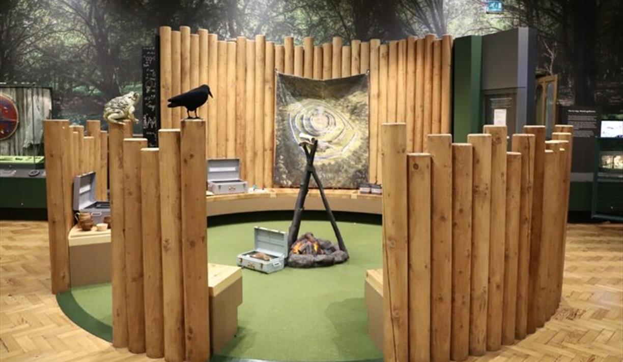 Festival of Archaeology at Brighton Museum