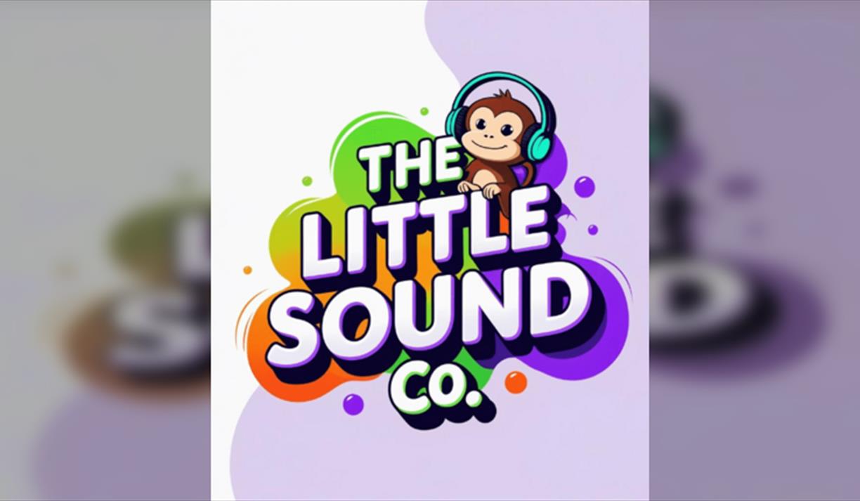 Steyning - The Little Sound Company Music & Sensory Session
