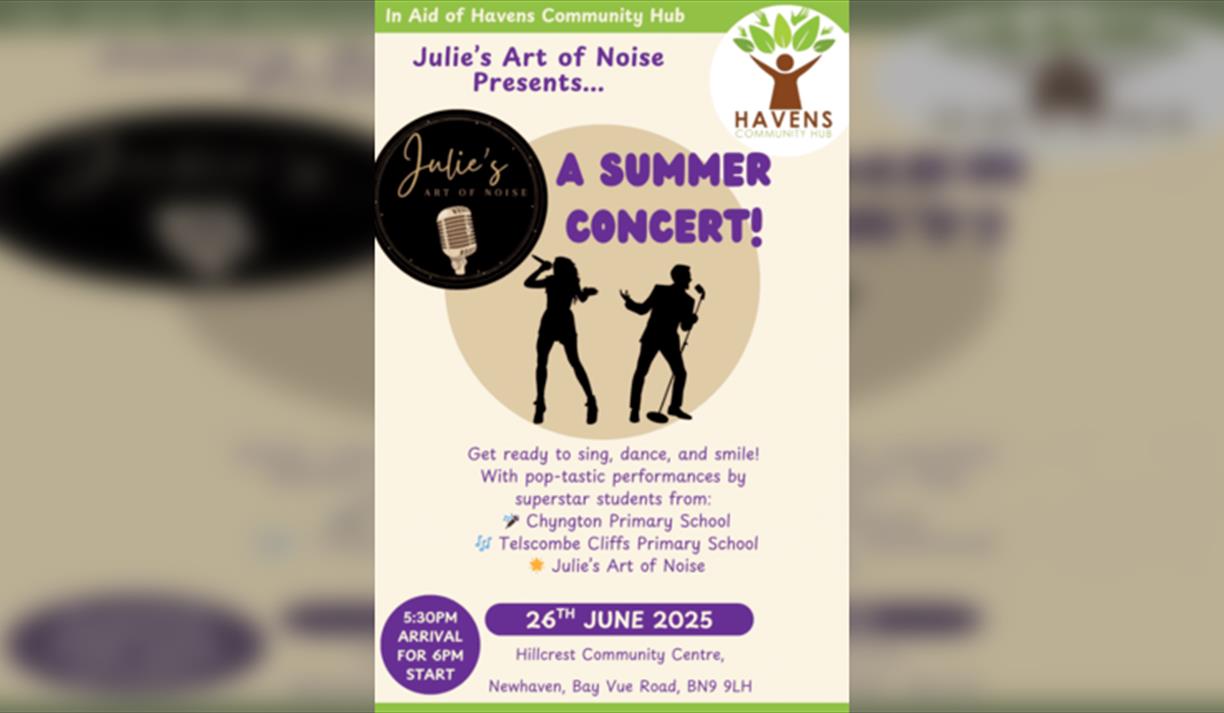 Julie's Art of Noise-Summer Concert