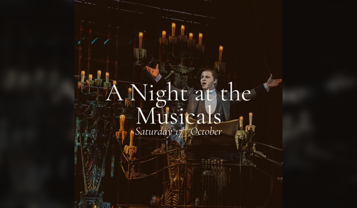 A Night at The Musicals