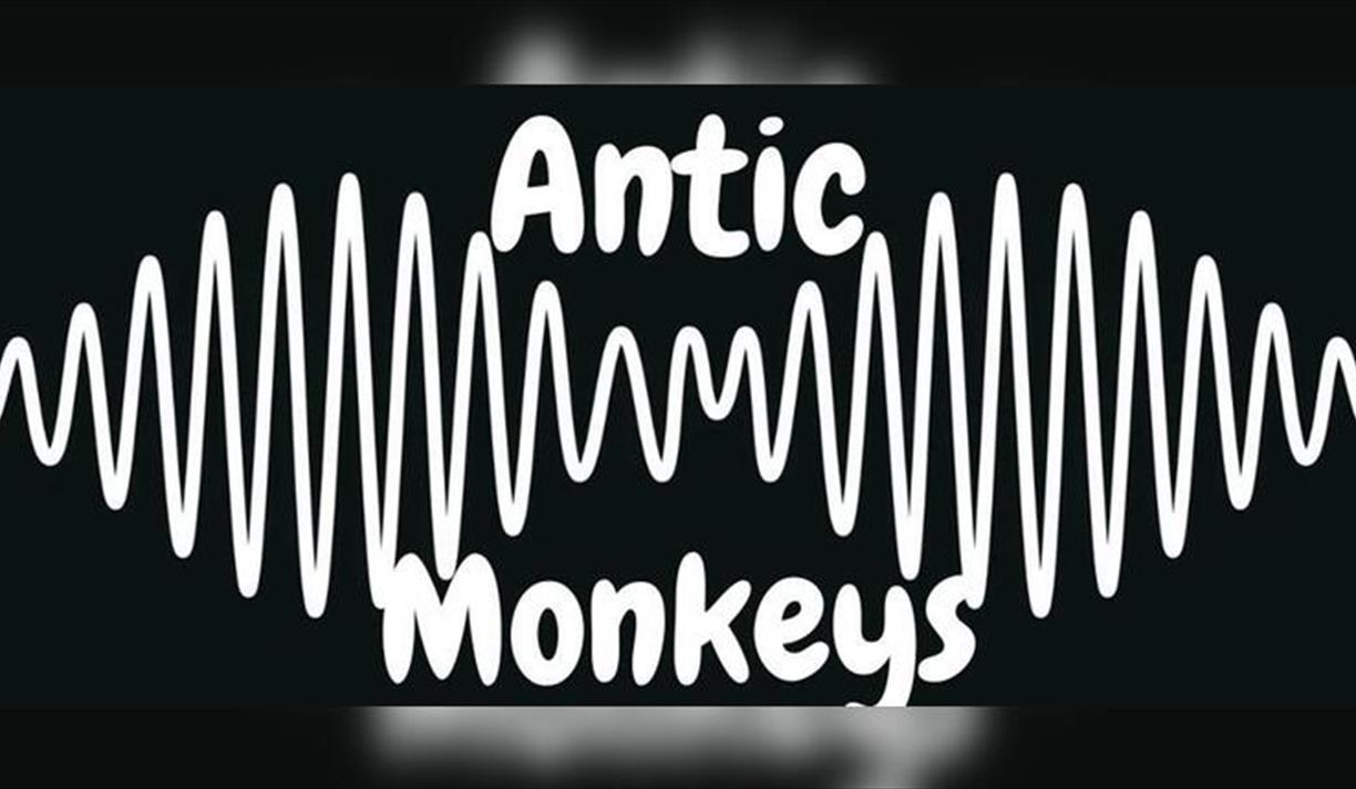Arctic Monkeys Tribute