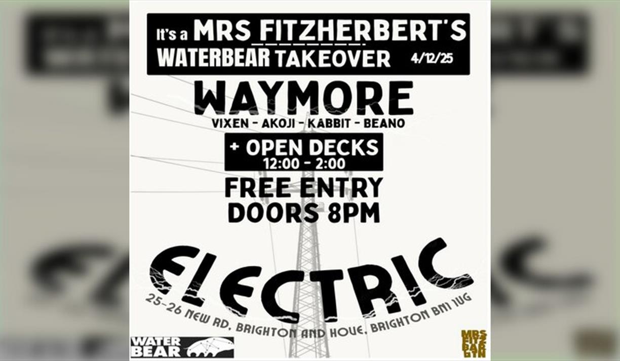 Electronic Takeover @ Mrs Fitzherberts