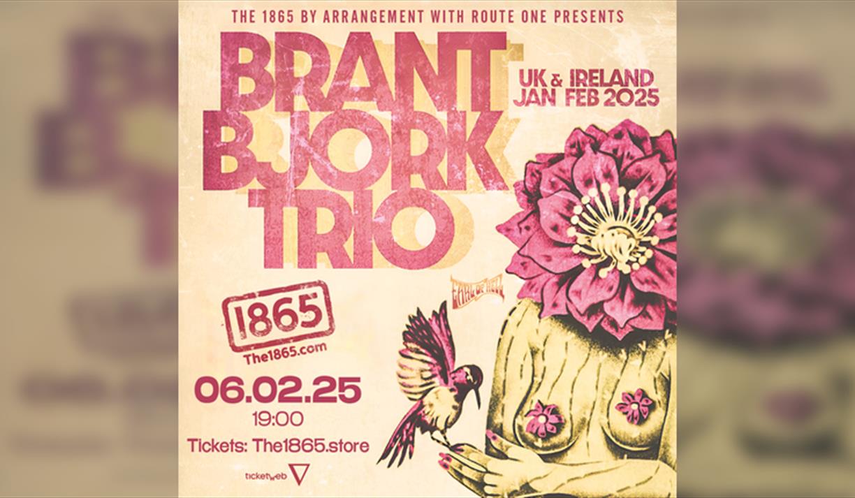 Brant Bjork Trio