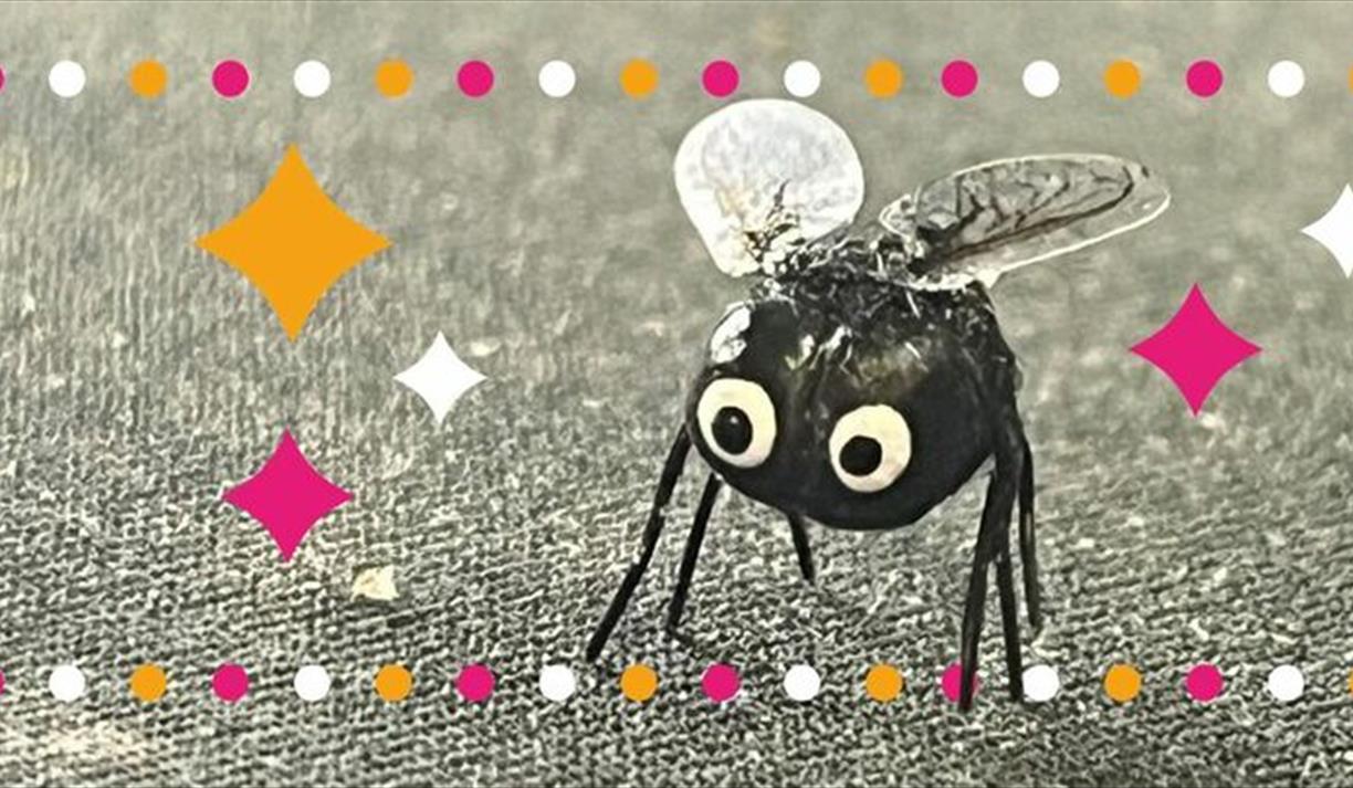 Make a Fly Workshop