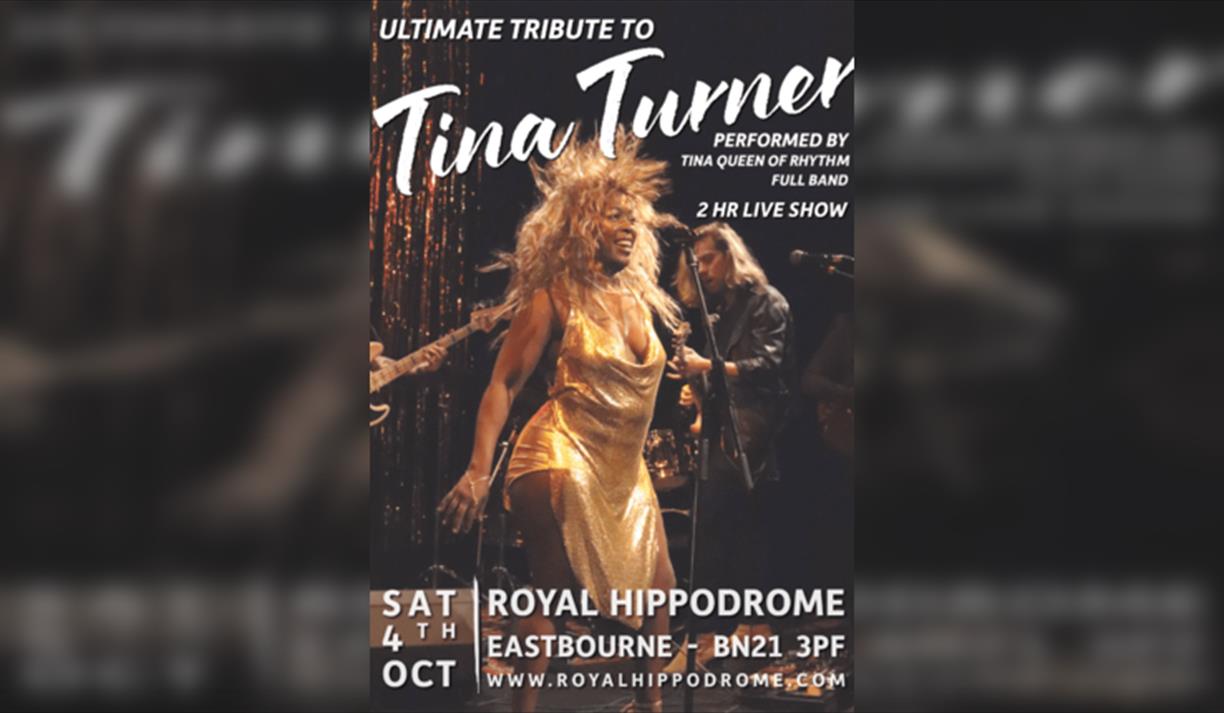 Ultimate Tribute to Tina Turner