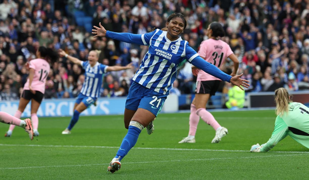 Albion v Spurs at the Amex