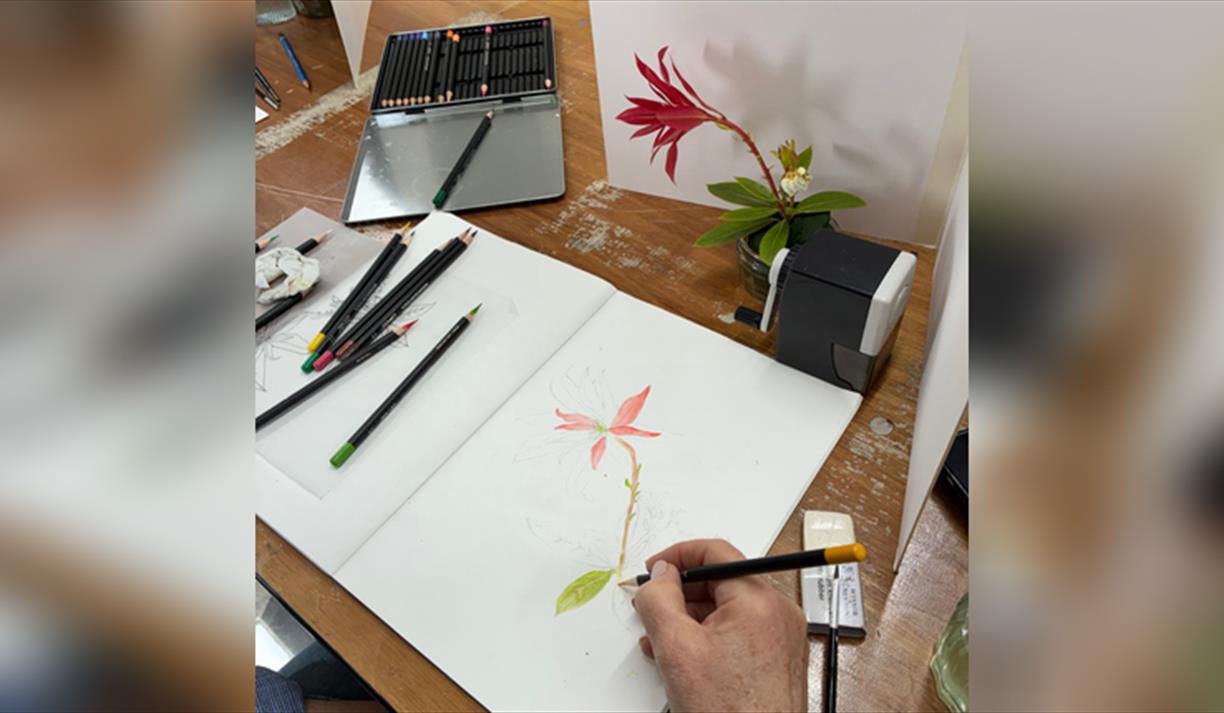 Botanical Illustration Workshop: Autumn