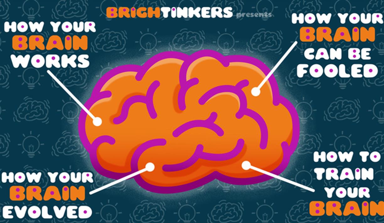 Discover Your Amazing Brain and How To Use It Wisely!