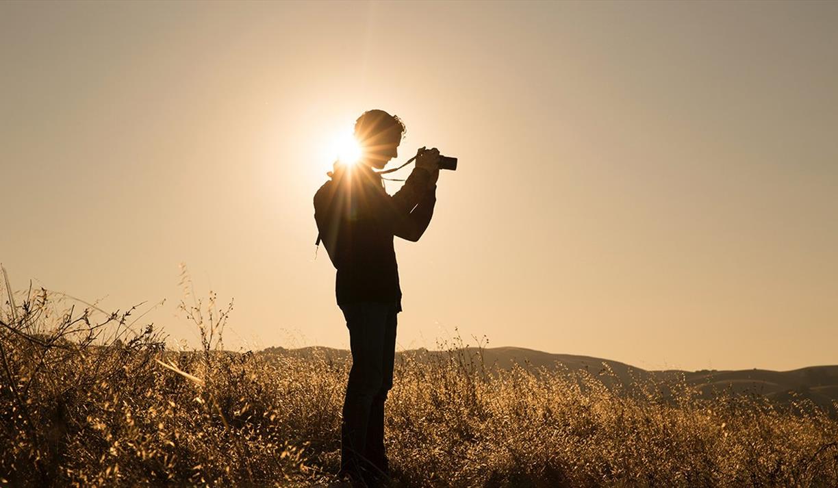 Person taking photographs in an empty field