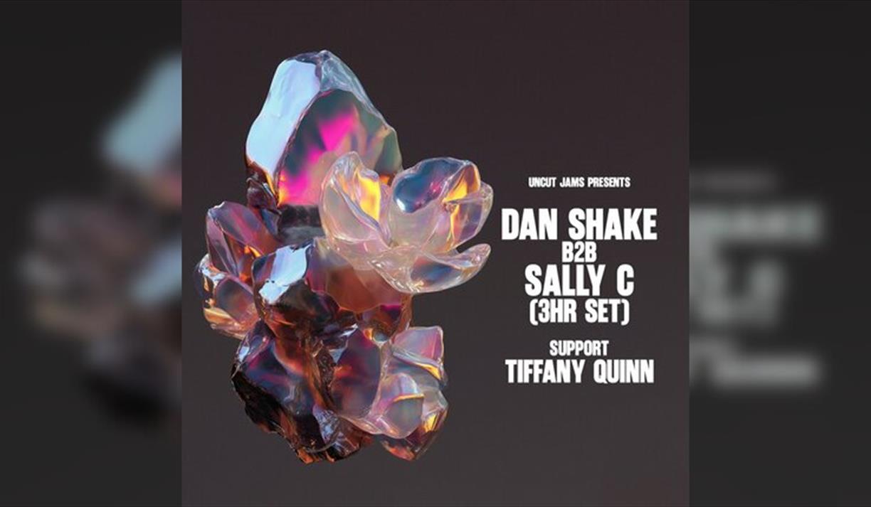 Dan Shake B2b Sally C