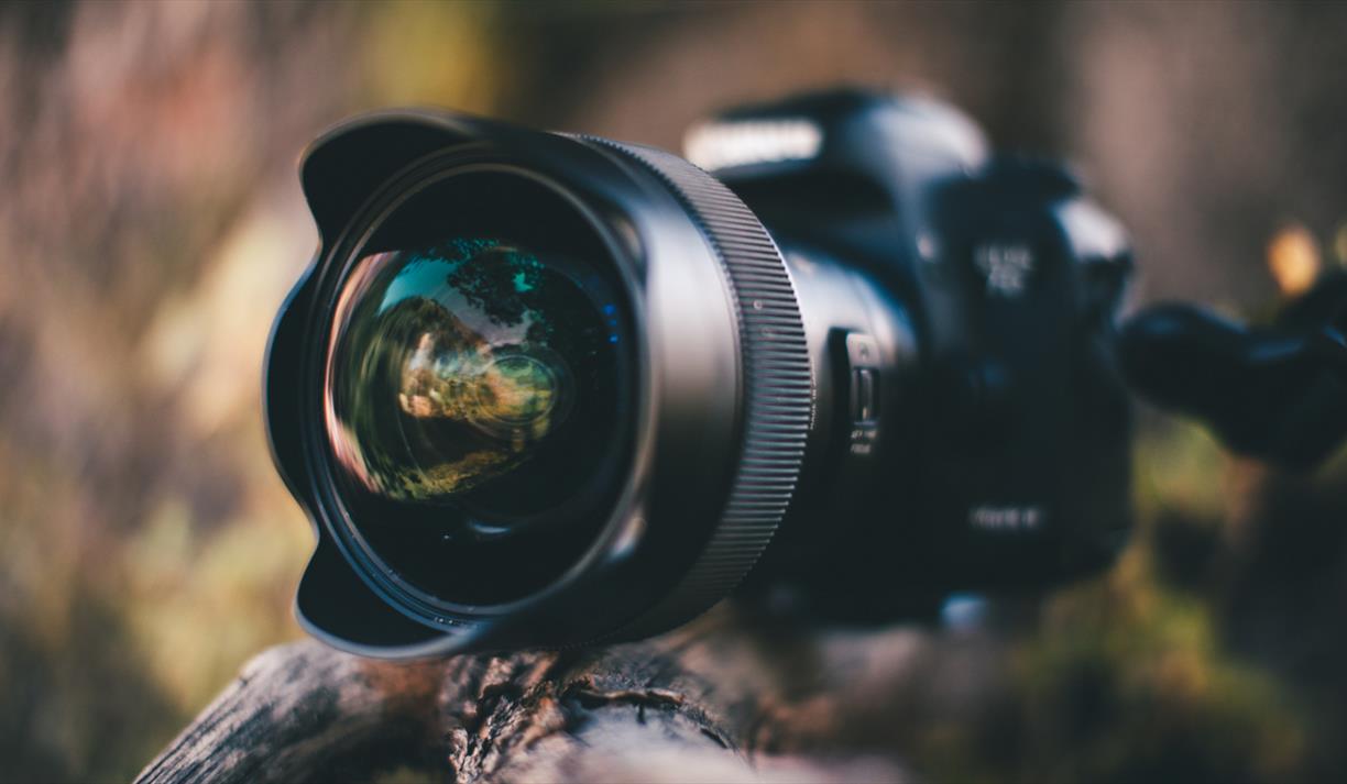 Large camera on wooden branch