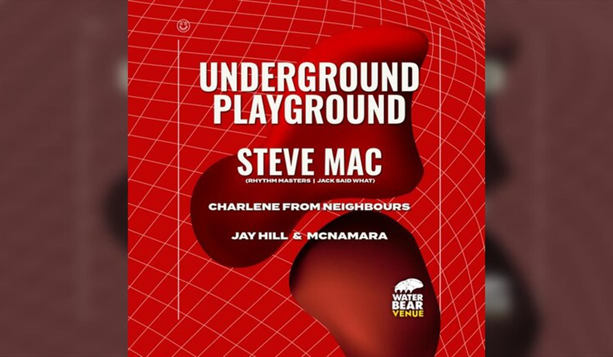 Underground Playground: STEVE MAC