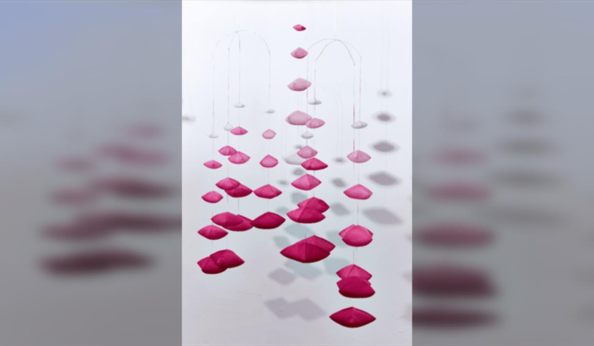 Sara Cook: Cherry Blossom Project Workshop