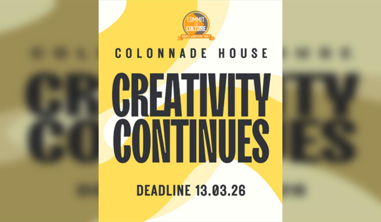 Submissions: Creativity Continues: Fundraiser Exhibition