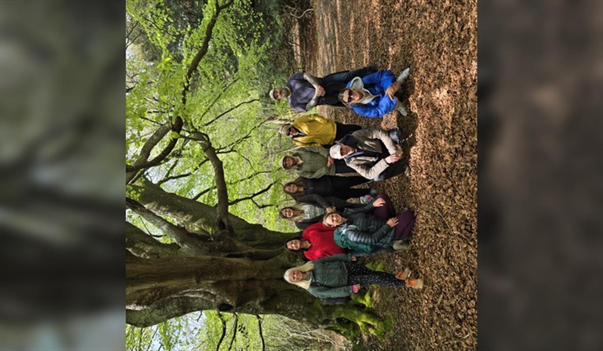 Forest Bathing
