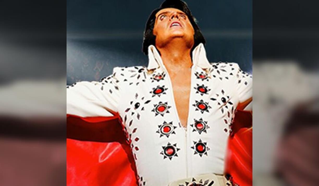 A Vision of Elvis