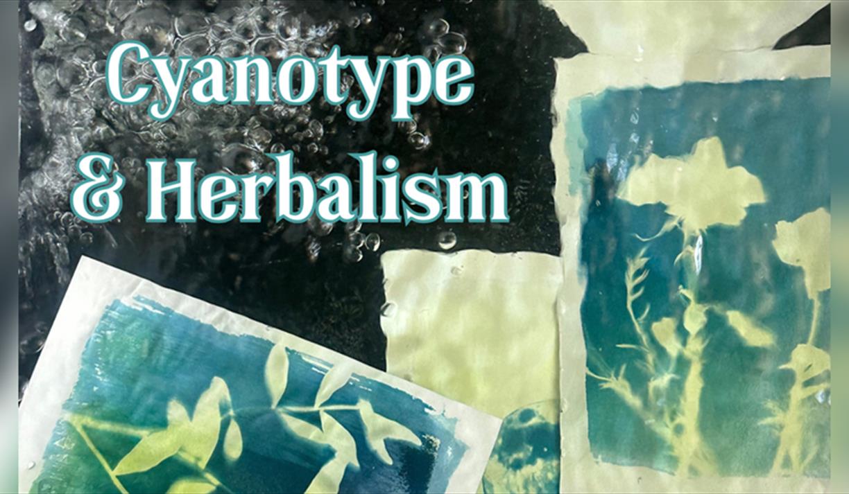 Cyanotype – Make a Print with Herbs & Flowers
