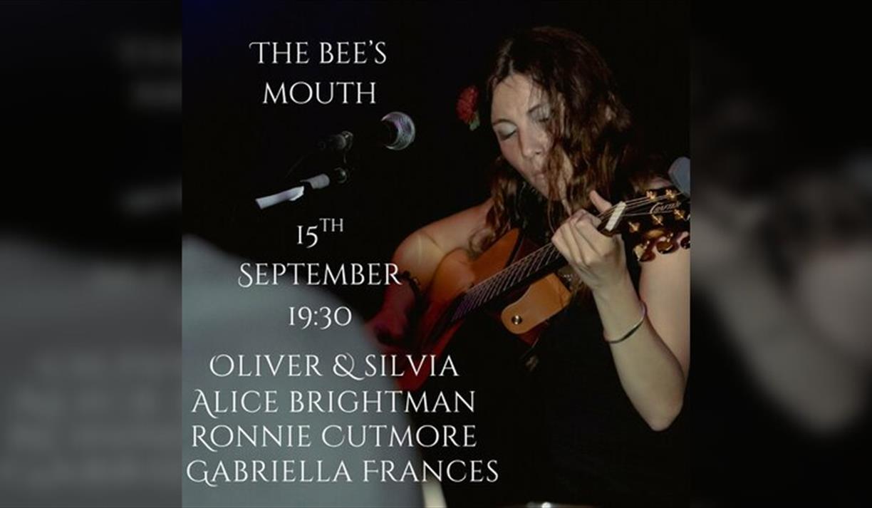 The Acoustic Night an evening of intimate music