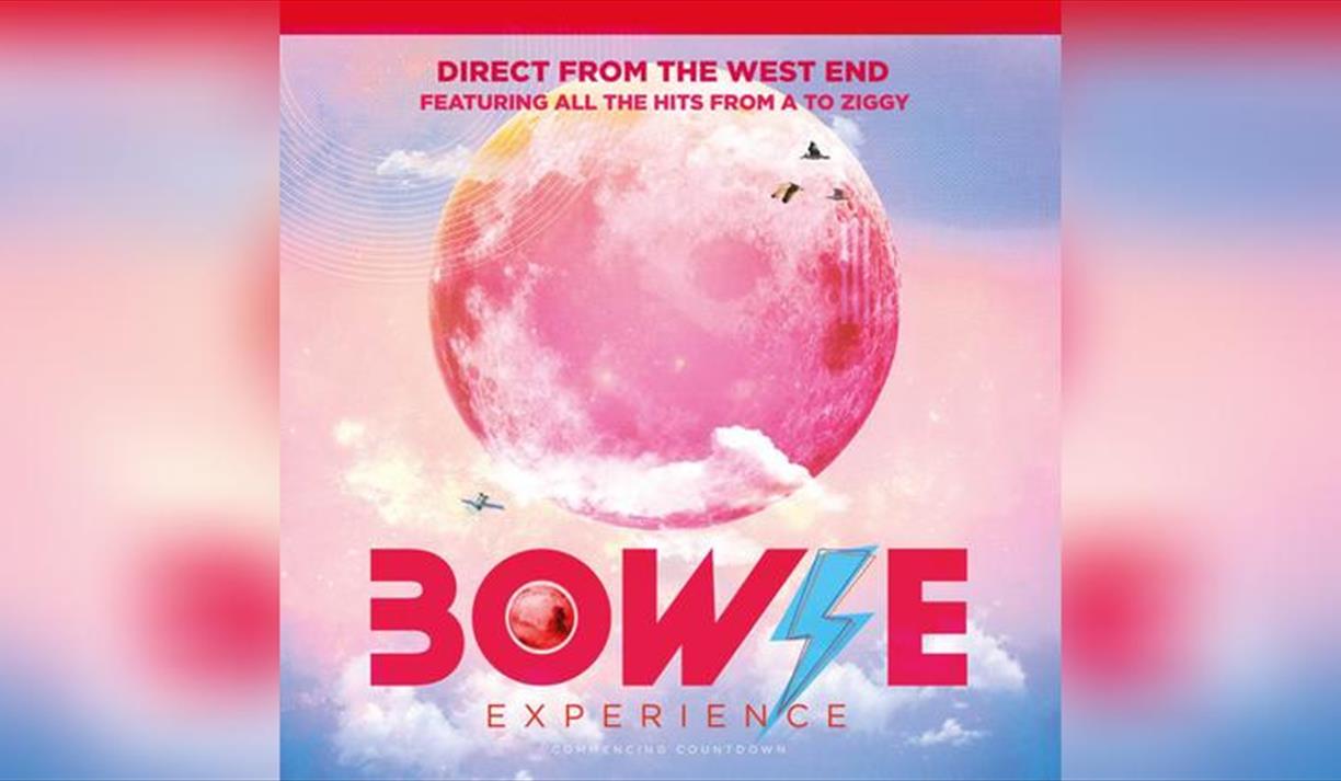 Bowie Experience