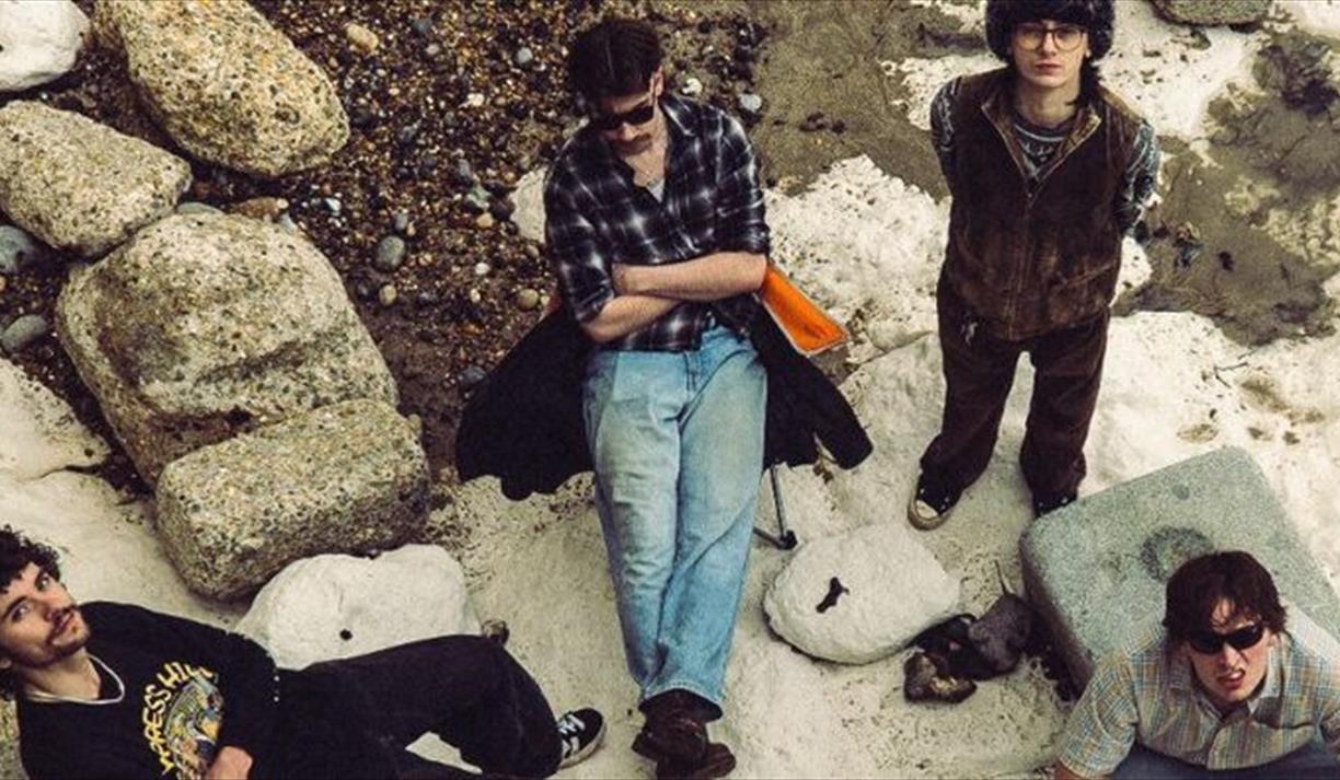 Picky New Promotions Present Darcy