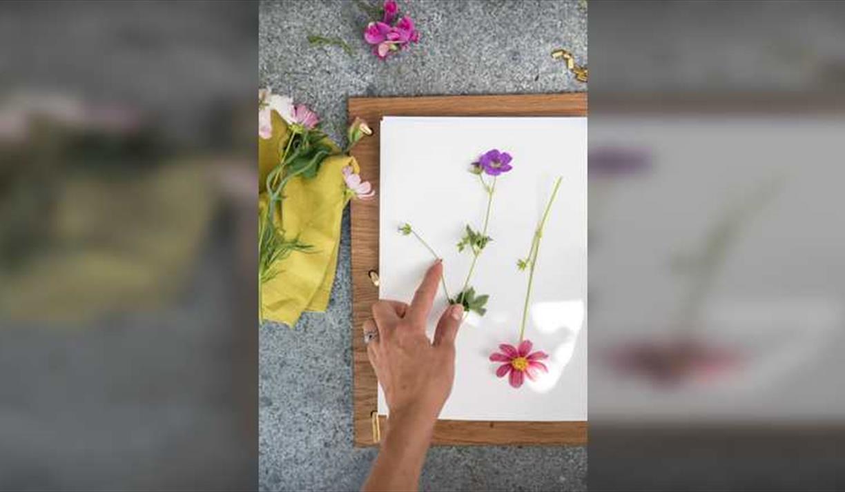 Flower Pressing with JamJar Edit