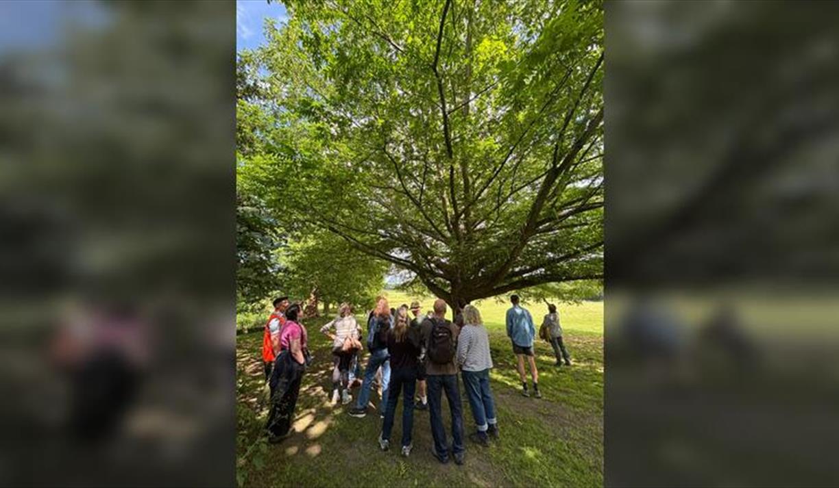 Sussex Tree Festival