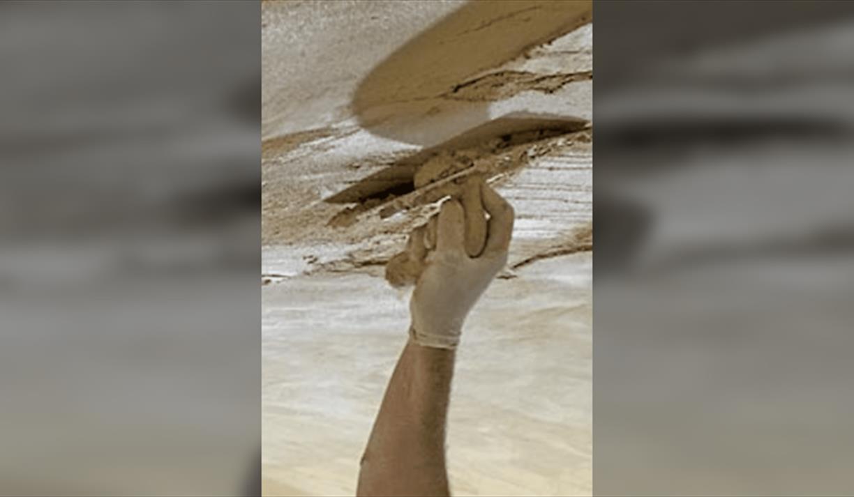 Heritage Open Days 2025 - Historic Lime Plasters, Practice and Maintenance