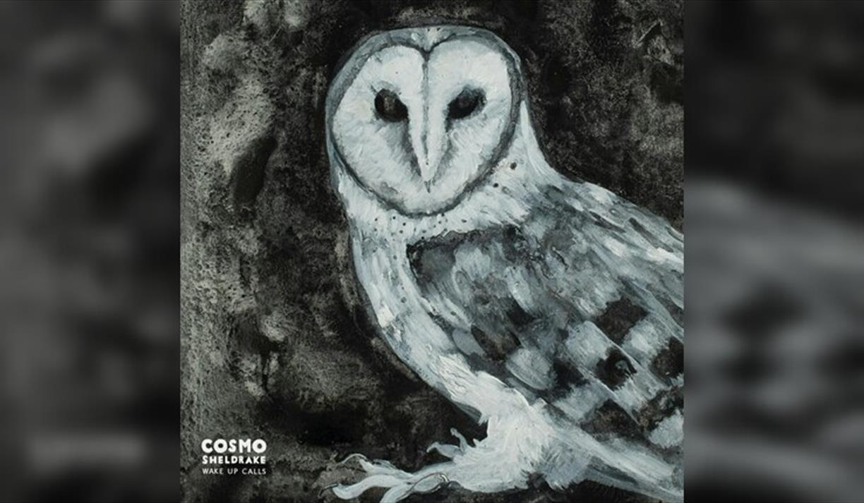Record Box 360 Listening Sessions - Cosmo Sheldrake: Wake Up Calls