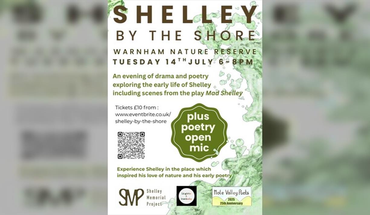 Shelley By the Shore
