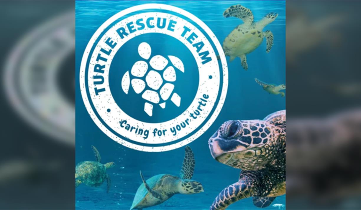 Join our Turtle Rescue Team!