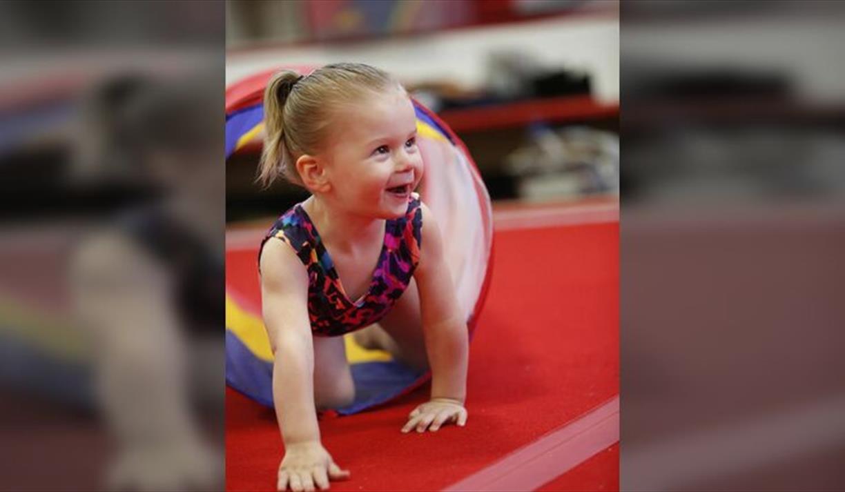 Summer Gymnastics Funday Session