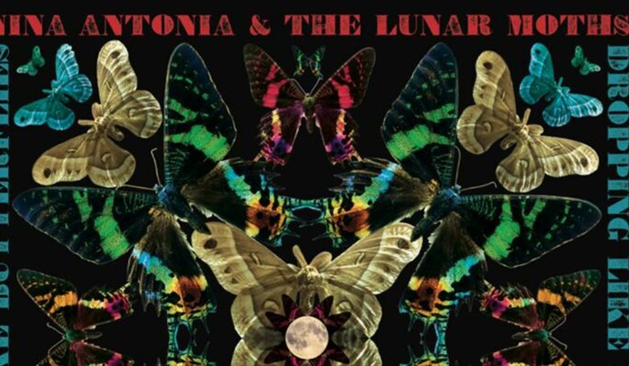 Nina Antonia & the Lunar Moths