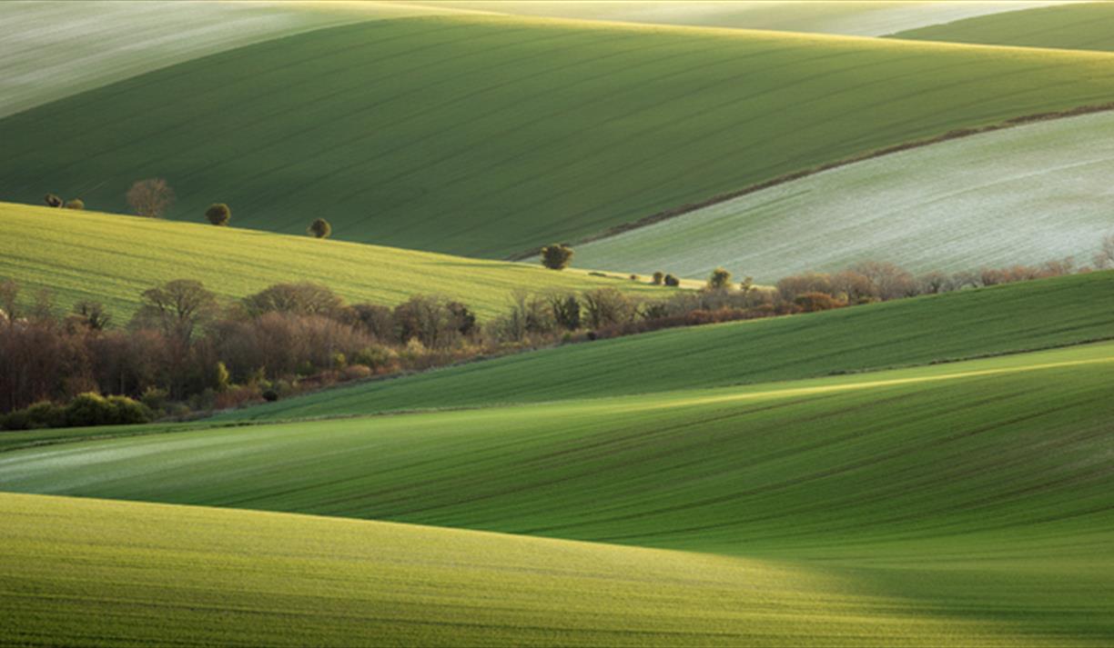 Pedals, Pencils & Pixels: picturing the South Downs with Jo Burt and Finn Hopson