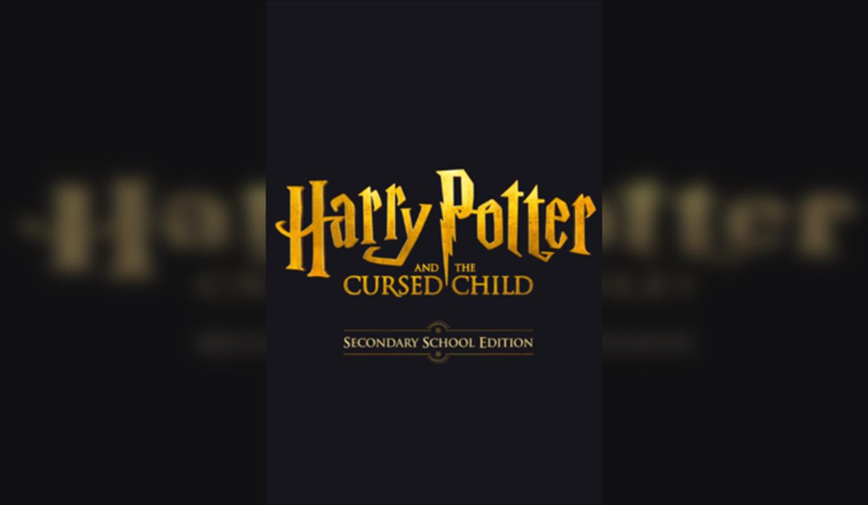 Harry Potter and The Cursed Child