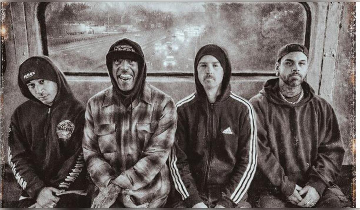 Hed Pe X Cold