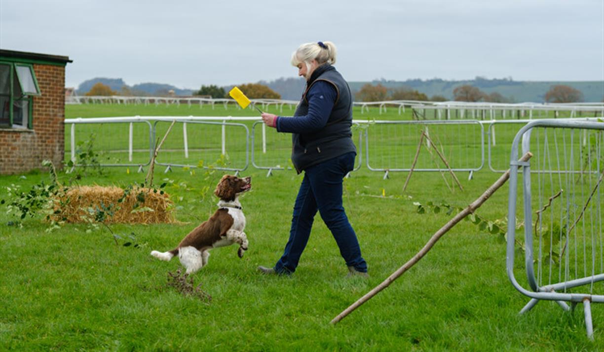 The Great British Truffle Festival