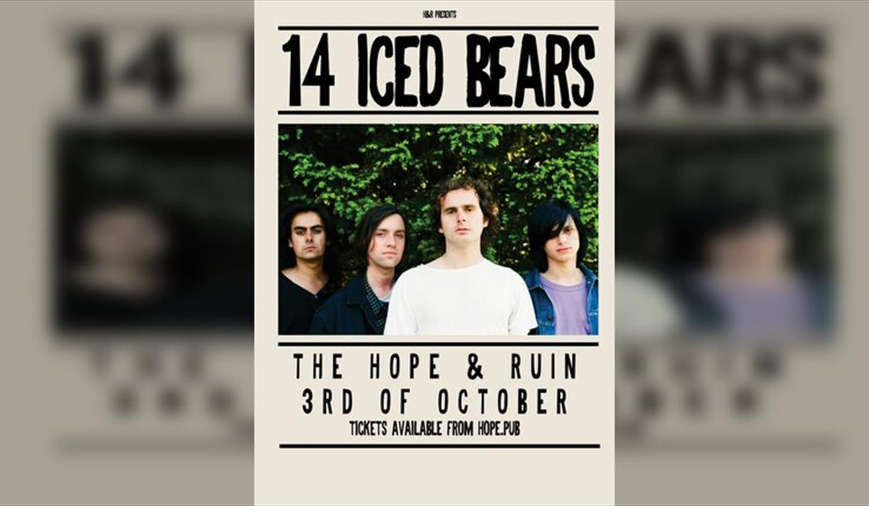 14 Iced Bears