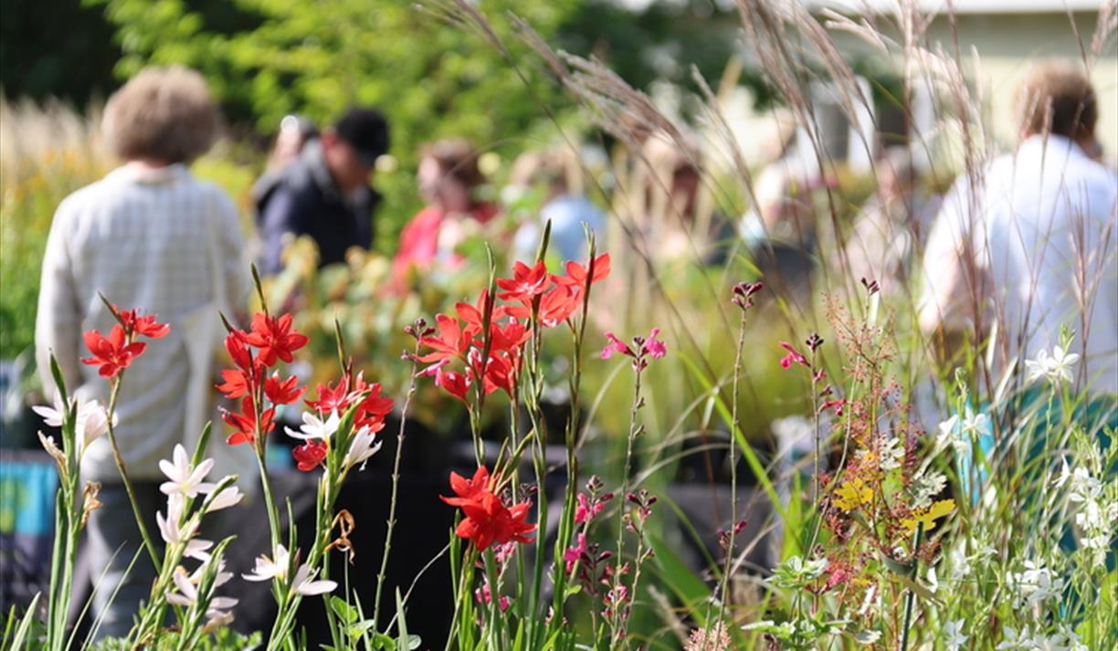 Specialist Autumn Plant Fair