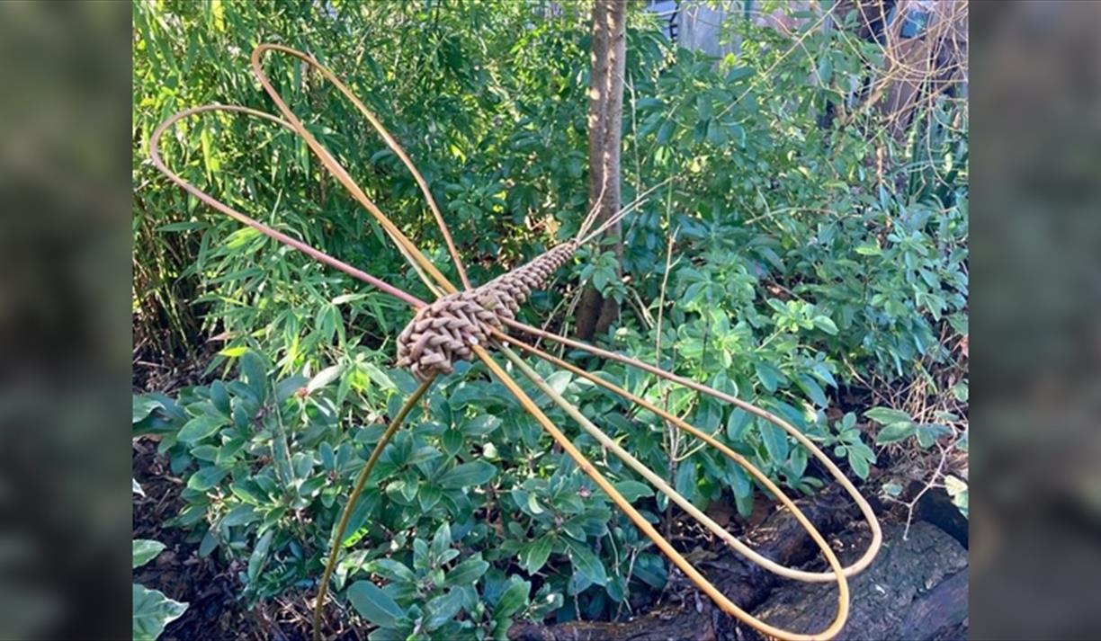 Dragonfly Willow Weaving adults