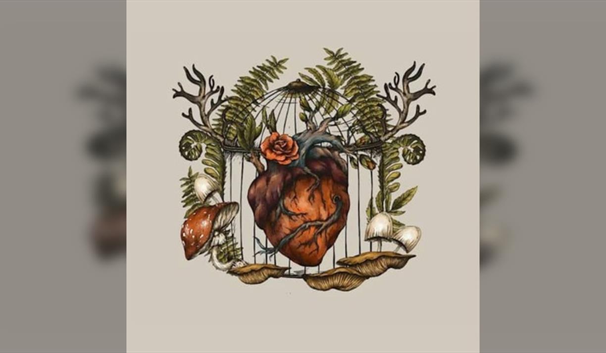 Sylvia Plath, Taylor Swift, & the Power of the Witch Imagery