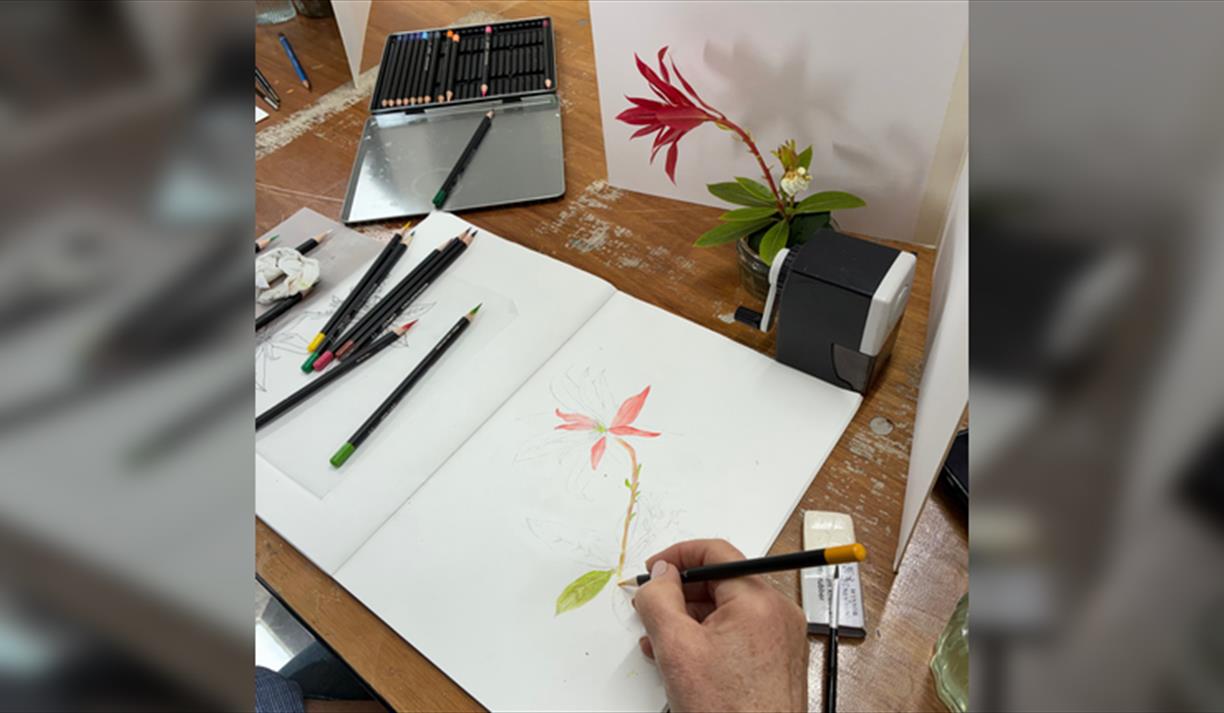 Botanical Illustration Workshop: Summer