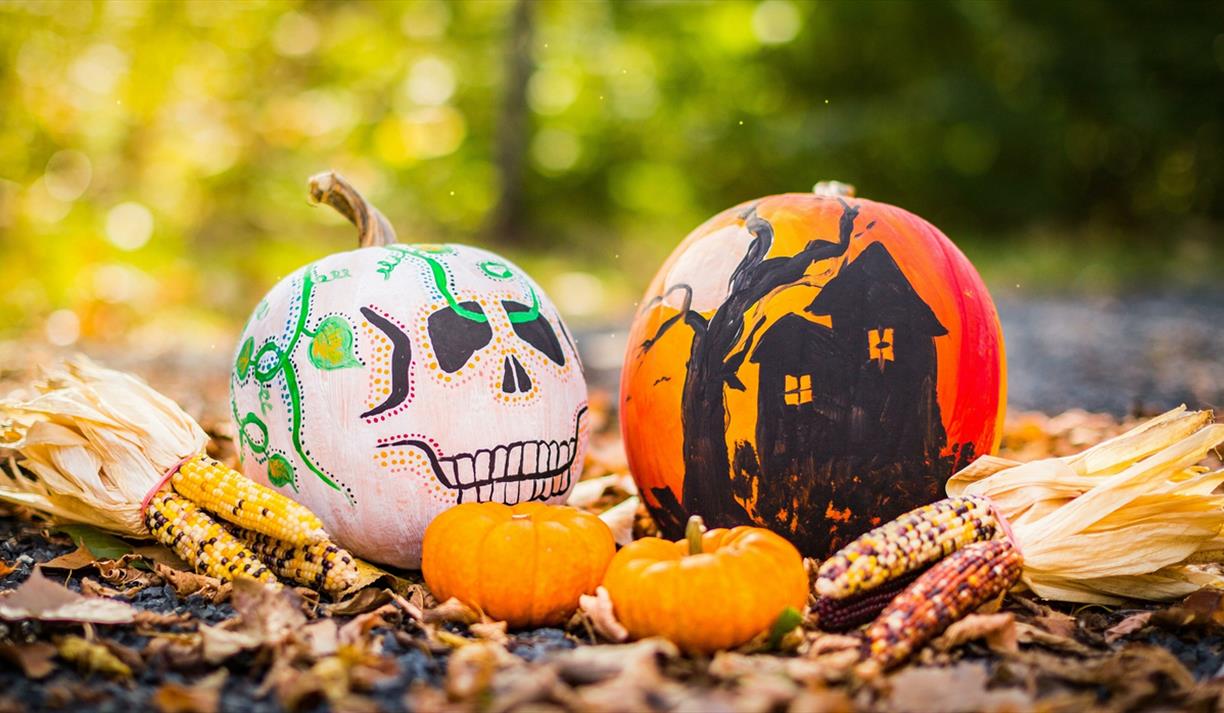 Ears of corn and pumpkins painted like a skull and haunted house