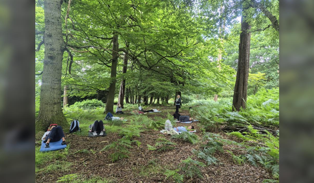 Forest Bathing