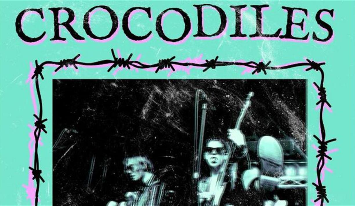 Crocodiles