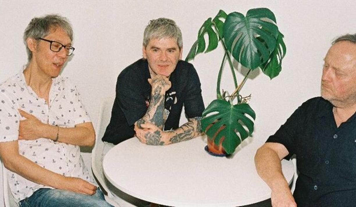 The Yummy Fur