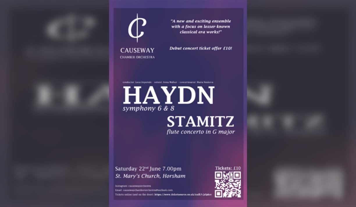 Causeway Chamber Orchestra - Haydn & Stamitz