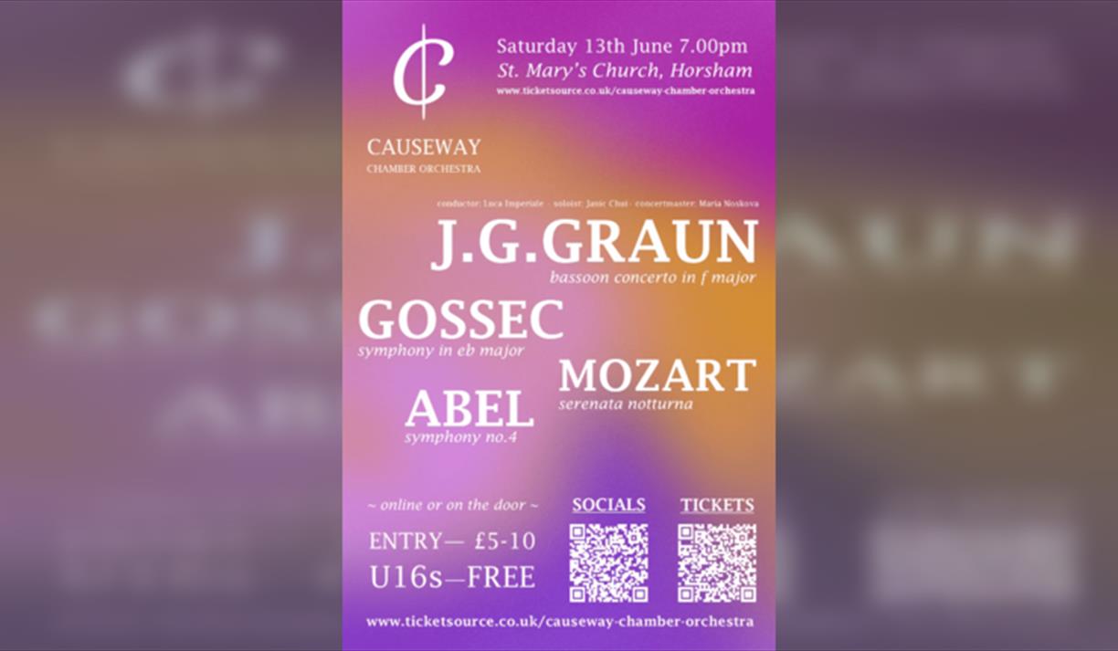 Causeway Chamber Orchestra - By Royal Appointment