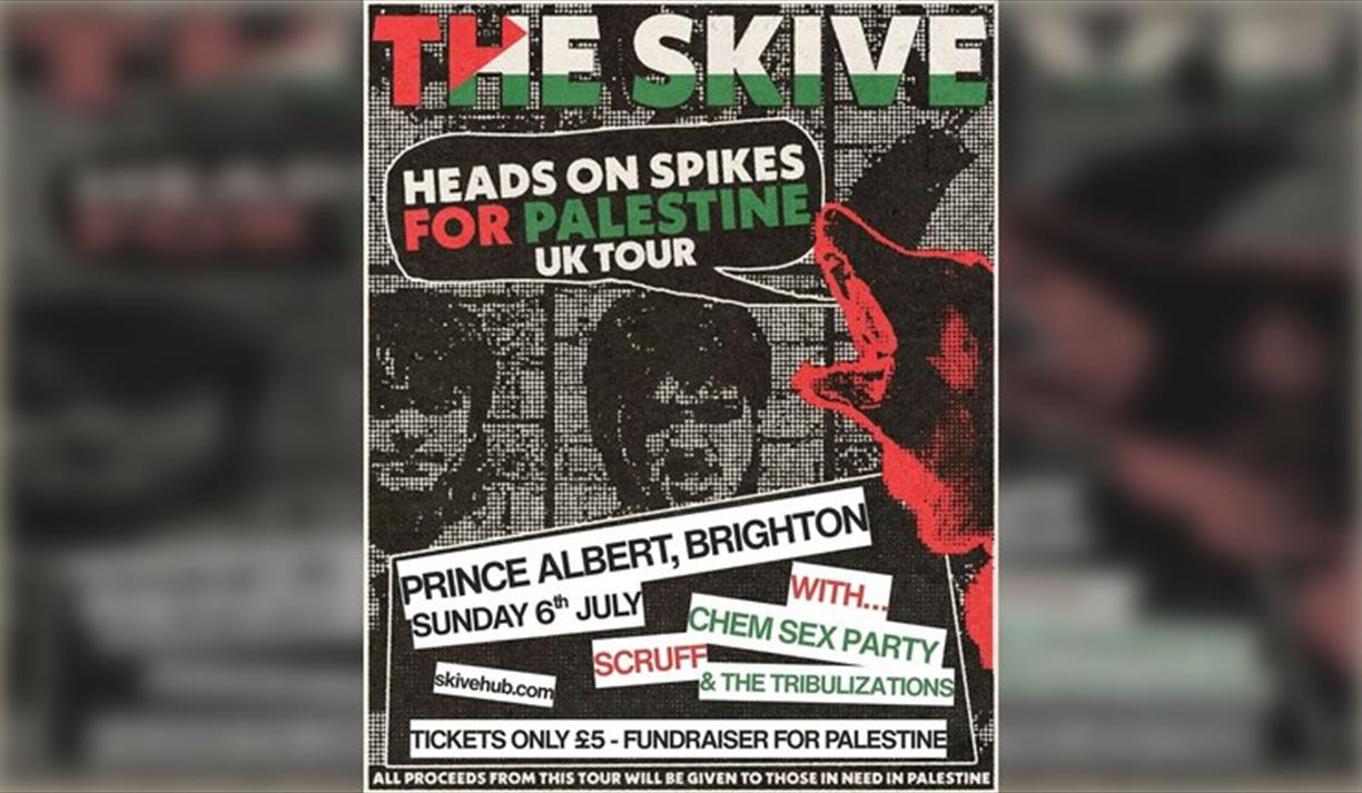 The Skive Charity Concert Live At The Prince Albert