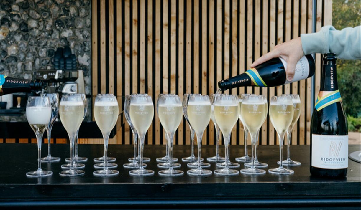 Ridgeview Vineyard Wine Experience